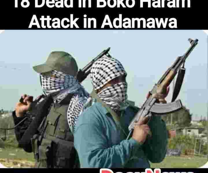 18 Dead In Boko Haram attack in Adamawa Picture showing two gun men