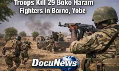 Nigerian troops kill 29 Boko Haram fighters during operation in Borno and Yobe