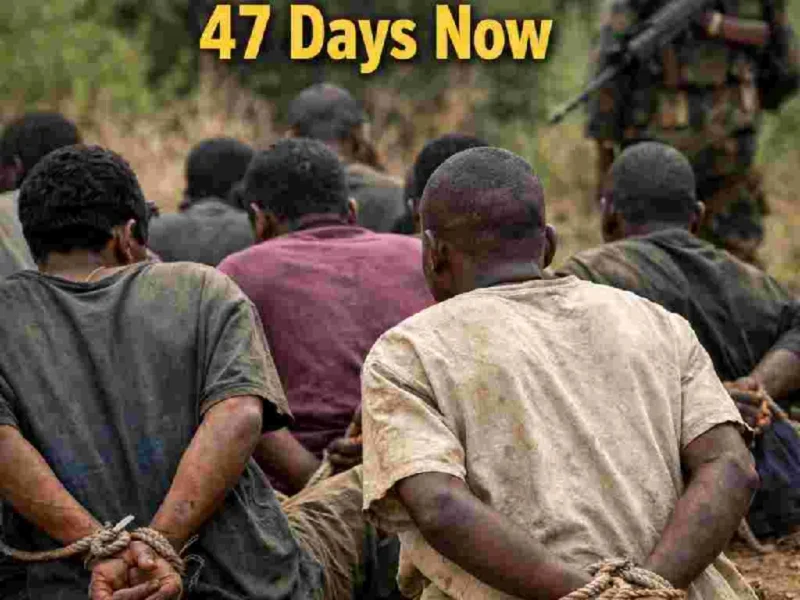AI generated illustrations Of 176 Kwara Kidnap Victims Held Without Ransom Demand. 47 Days Now. By DocuNews Central
